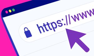 Why is it important to verify HTTPS and digital certificates?